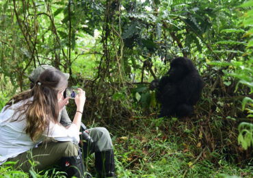 Gorilla Trekking